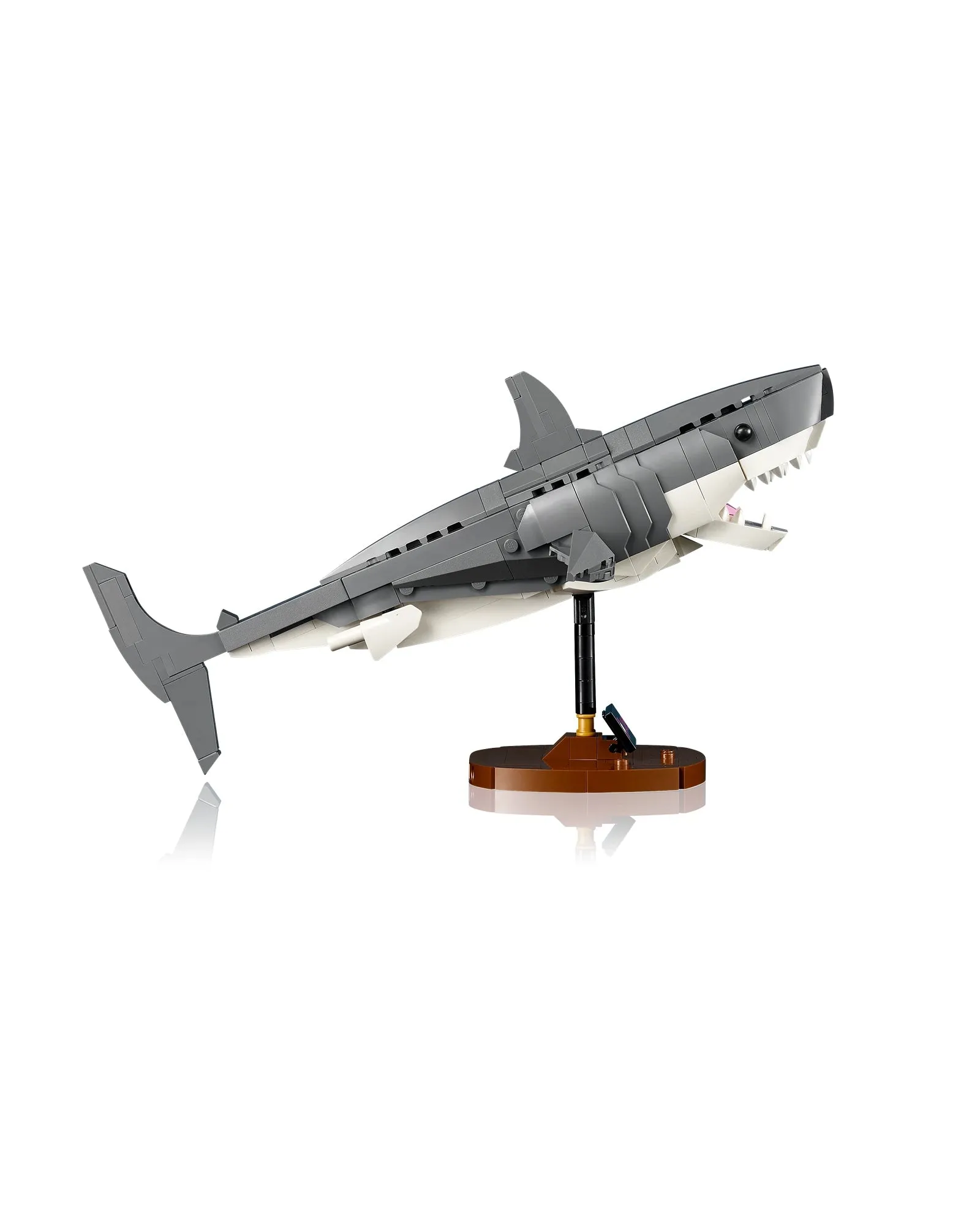 21350 Jaws